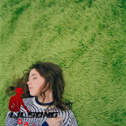 Clairo - Diary 001